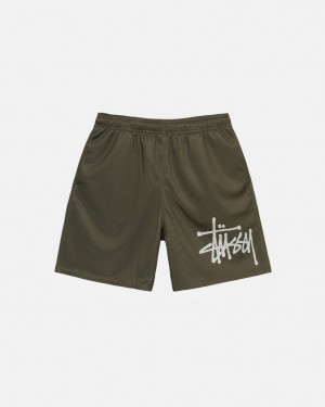 Stüssy Mesh Corta Big Basic Vert Olive | BH2087591